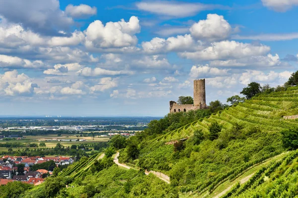 Schriesheim şehrinde Strahlenburg adlı Alman şatosu harabesi ve restoranı ile Odenwald öndeki tepenin manzarası