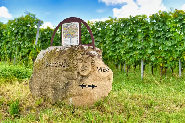 Wiesloch, Almanya - Ağustos 2021: Taşlar, yerel harita ve Baküs yüzüyle 'Baküs weg' adı verilen yürüyüş yolunun yönünü gösteriyor