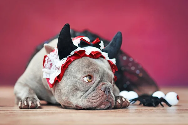 French Bulldog dog wearing red devil horn headband with ribbon and black tutu in front of red background