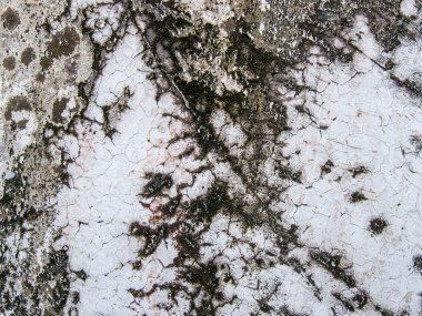 eski çimento duvar dokusu