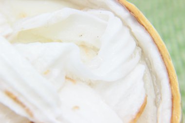 Hindistan cevizi puding tatlısı coco kabuklarında