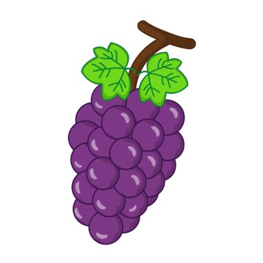 meyve üzüm izole illüstrasyon