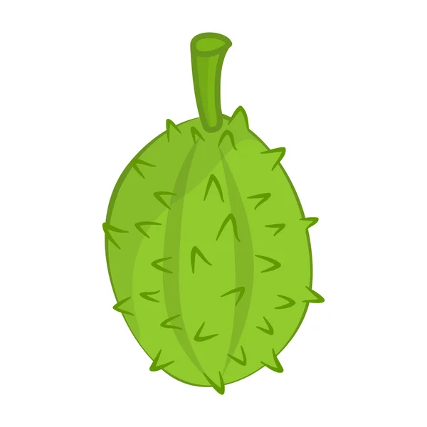 Durian la ilustración aislada de las frutas tropicales — Vector de stock