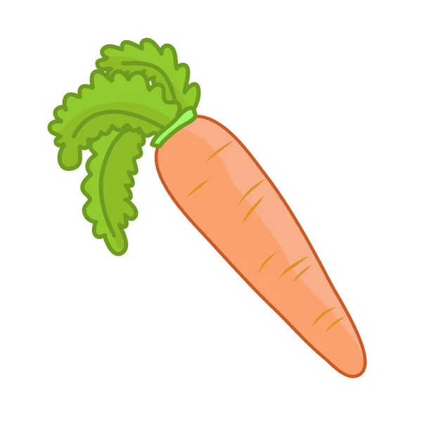 Illustration isolée de carotte — Image vectorielle