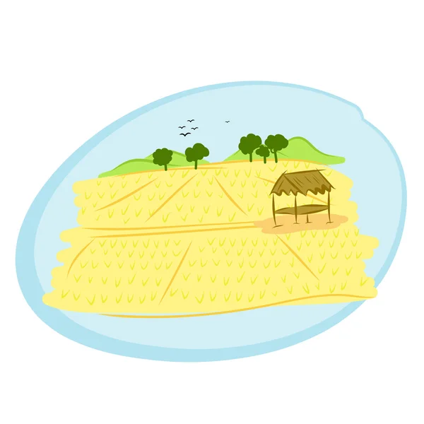 Thai rice field — Stock Vector