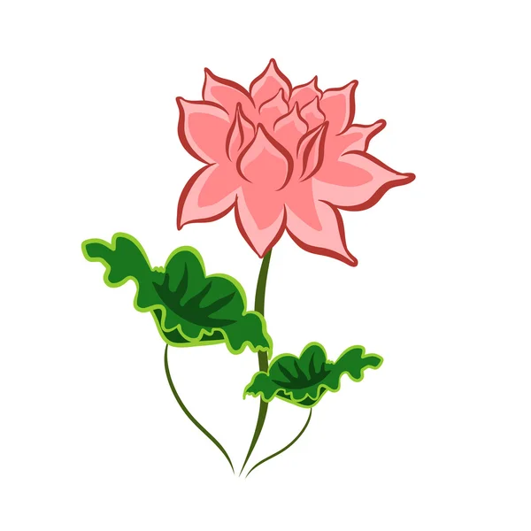 Lotus bloem geïsoleerd illustratie — Stockvector