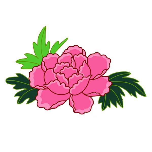 Roze bloem geïsoleerde illustratie — Stockvector