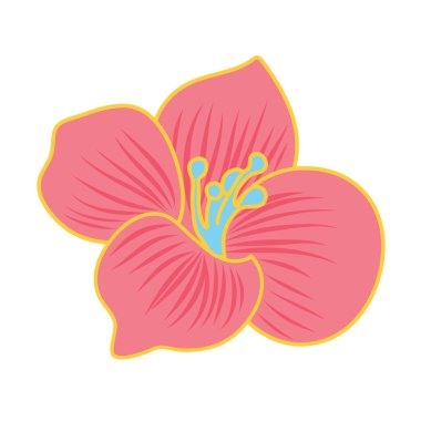 izole çiçek şekil