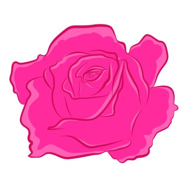 pembe Gül izole illüstrasyon