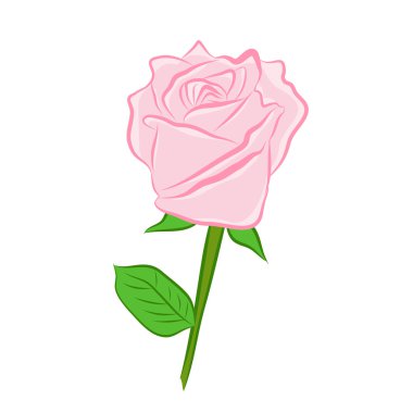pembe Gül izole illüstrasyon