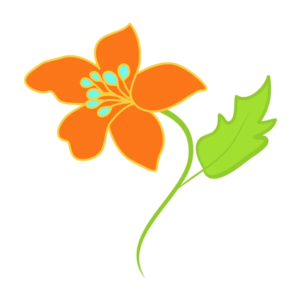 Orangefarbene Blume isolierte Illustration — Stockvektor