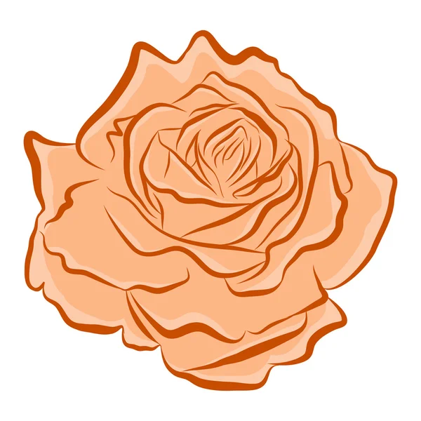 Orangefarbene Rose isolierte Illustration — Stockvektor