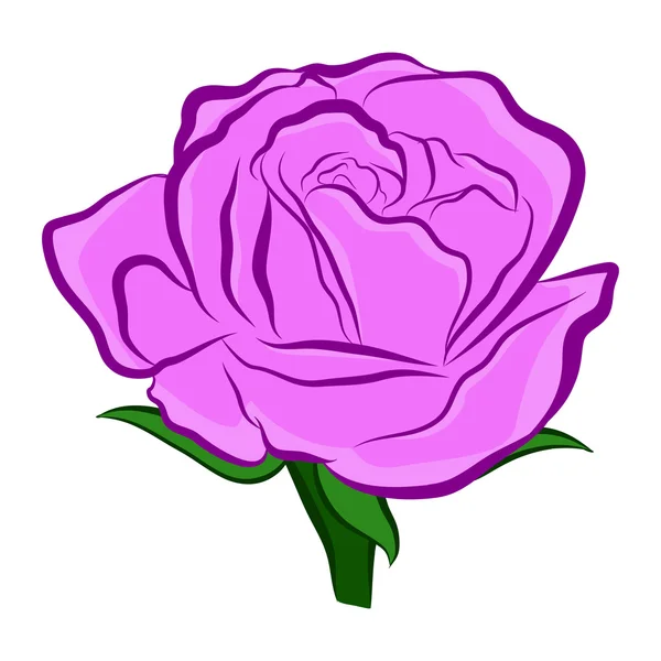 Purple rose isolated illustration — Stock Vector