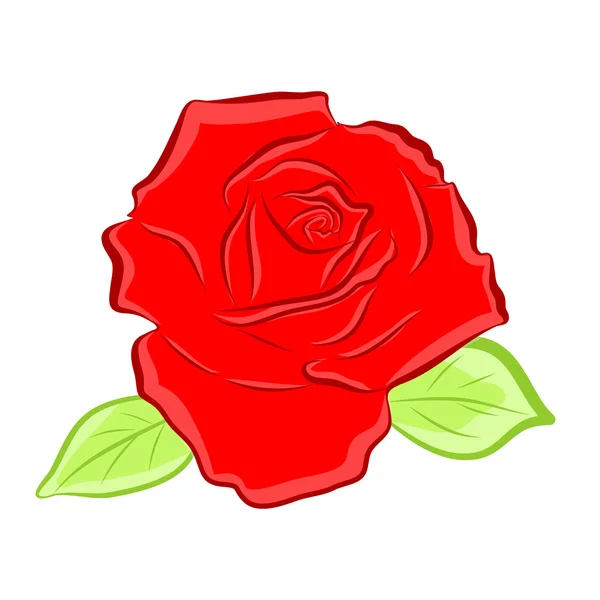 Червона троянда ізольована ілюстрація — стоковий вектор