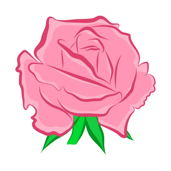 Rose isolated illustration — Stock Vector