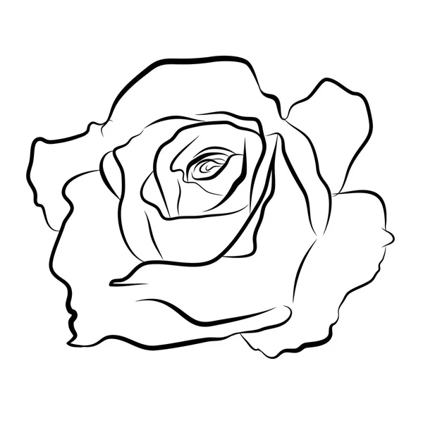Γραμμή σκίτσο από τριαντάφυλλο — Διανυσματικό Αρχείο