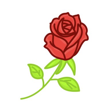 kırmızı gül izole illüstrasyon