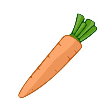 İzole havuç illüstrasyon