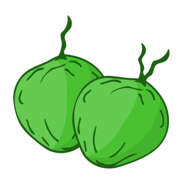 Hindistan cevizi izole illüstrasyon