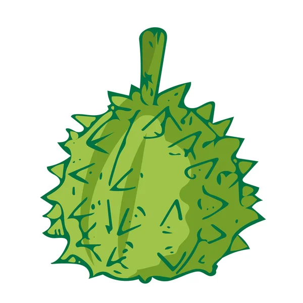 Durian le fruit tropical illustration isolée — Image vectorielle