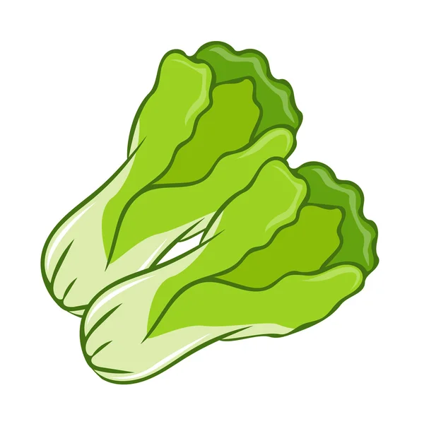 Grüne Salat Karikatur isolierte Illustration — Stockvektor