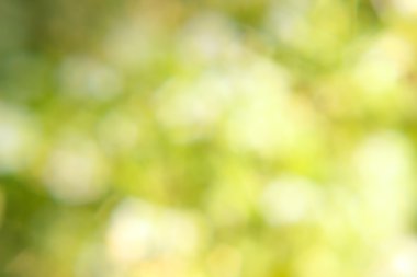 yeşil bokeh soyut ışık arkaplanı