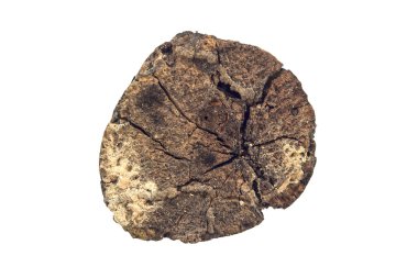 eski günlük Beyaz arka plan üzerinde izole