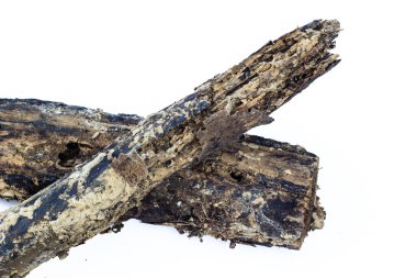 eski günlük Beyaz arka plan üzerinde izole