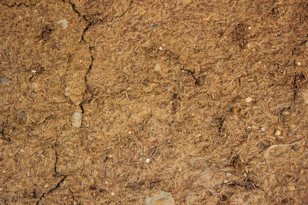 Texture of dirty soil — Stock Photo, Image