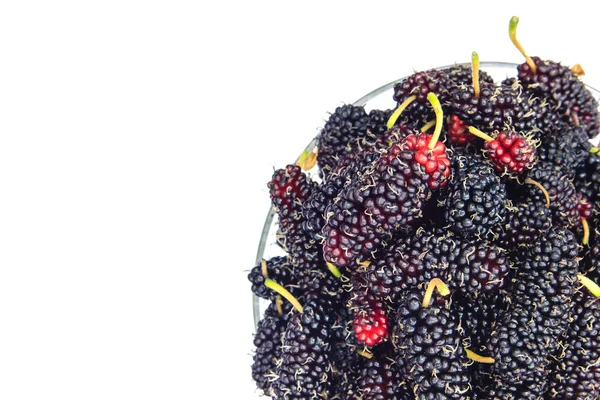 Mulberry on white background — Stock Photo, Image