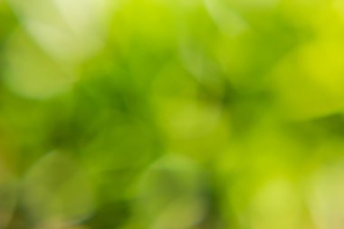 yeşil bokeh soyut ışık arka plan bulanıklık