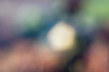 Bokeh odaklı olmayan ışıklarla soyut bulanık arkaplan
