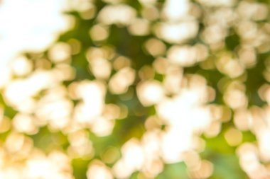 Bokeh odaklı olmayan ışıklarla soyut bulanık arkaplan