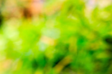 Bokeh odaklı olmayan ışıklarla soyut bulanık arkaplan