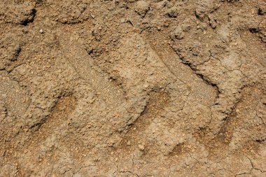 Tekerlek parça toprak yol üzerinde kapatın