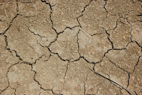 Barren ground — Stock Photo, Image