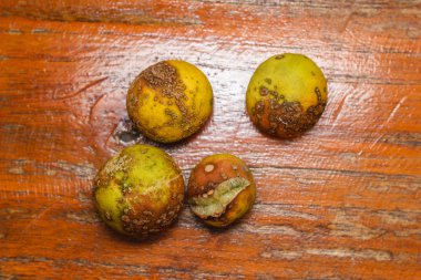Ahşap üzerine Kuru limon