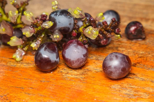 Крупный план остатков винограда после еды — стоковое фото