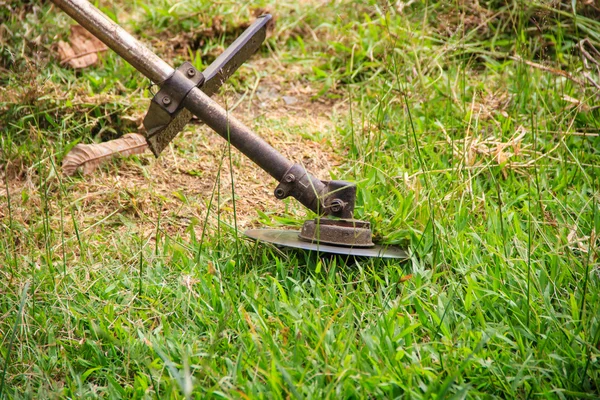 Gros plan de la tondeuse coupant l'herbe — Photo