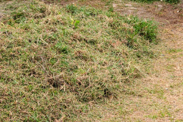 Çim kupürleri yığın çim üzerinde — Stok fotoğraf