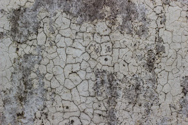 Textura antigua pared de cemento — Foto de Stock