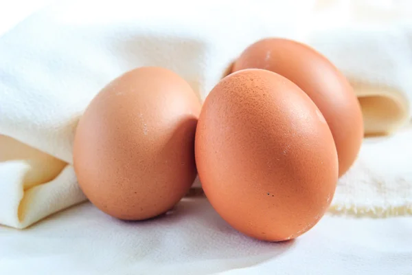 Яйця на тканині — стокове фото