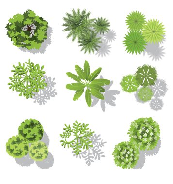 Treetop sembollerin için mimari ayarlamak veya peyzaj tasarımı