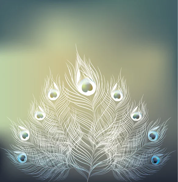 Vector peacock on blur background.vector illustration — Stock vektor