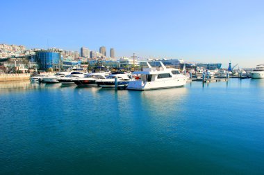 Sahilde demirleyen yatlar