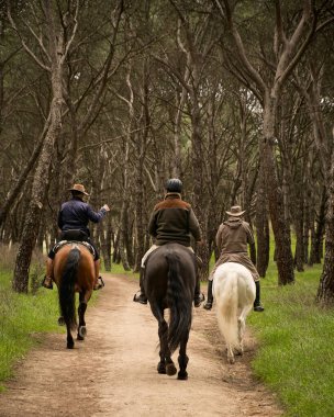 Atlarıyla ormanda yürüyüşe çıkan üç atlı.