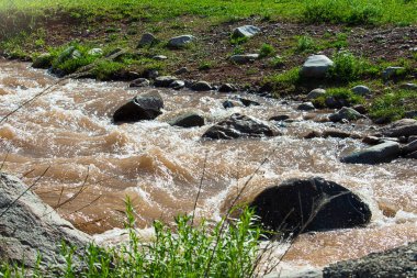 Taşlar ve kayalar arasında hızla akan çamurlu kahverengi suyu olan dağ deresi. Güneş ışığı dalgaları ve köpüğü yansıtır. Nehir kenarındaki yeşil çimenler ve bitkiler doğal vahşi bir manzara yaratır.