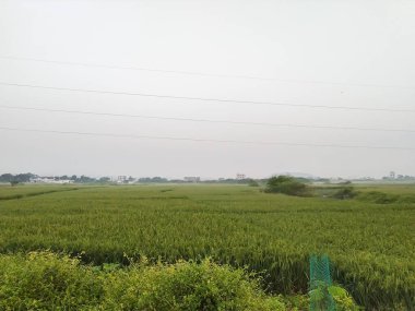 Mobil galerimde bulunan sis resmi 