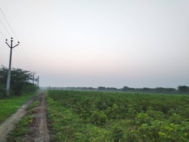 Puslu 'nun sabah fotoğrafı çok güzel.