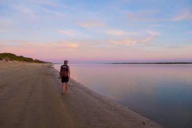 Gün batımında kumsalda yürüyen bir grup arkadaş ve köpek.